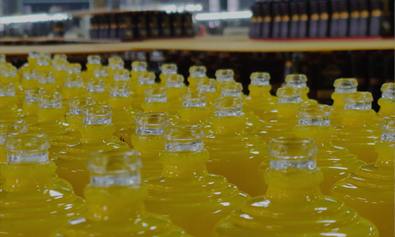Iniciativas verdes na fabricação de garrafas de licor
